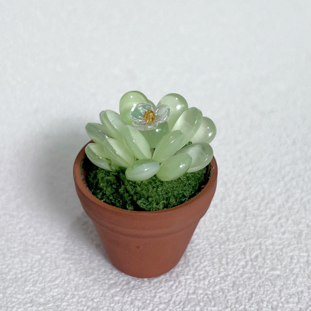 002-Beaded Plant Magnets for Fridge,Mini Succulent Plant Making and DIY Crafts Refrigerator Magnet,Cute Funny Creative Aesthetic Vase Magnets Fridge Kit